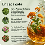 Drenaje Linfatico Mayaverra — Gotas Naturales